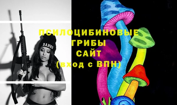 стафф Аркадак