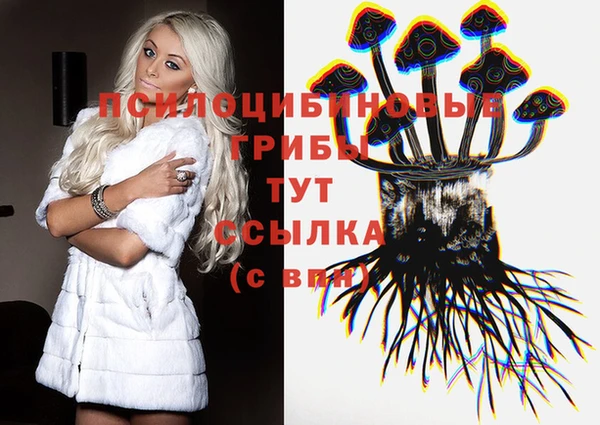 прущий лед Арсеньев